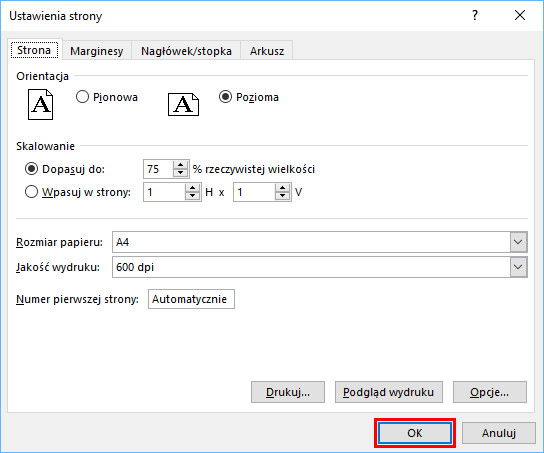 Excel - Kopiowanie ustawień drukowania